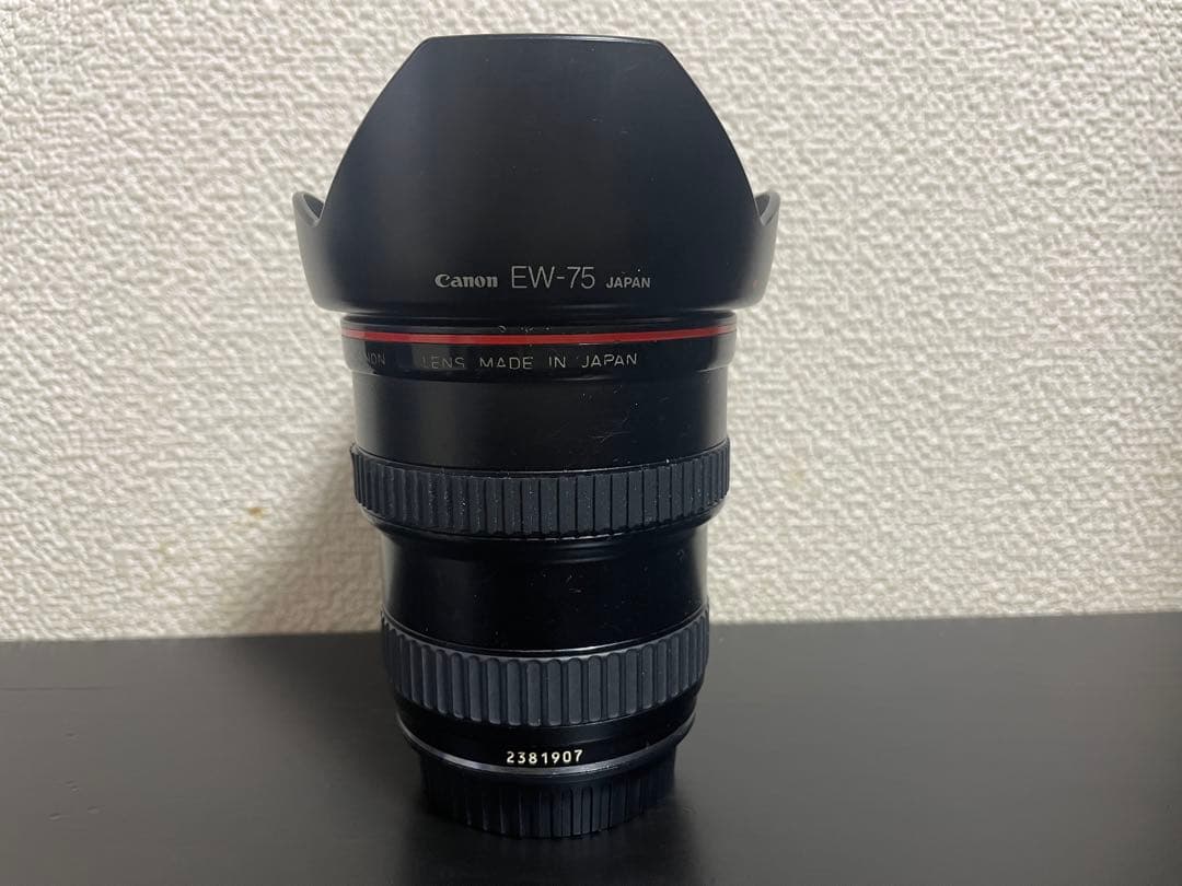 ビ*】様 Canon EF 20-35mm F2.8L