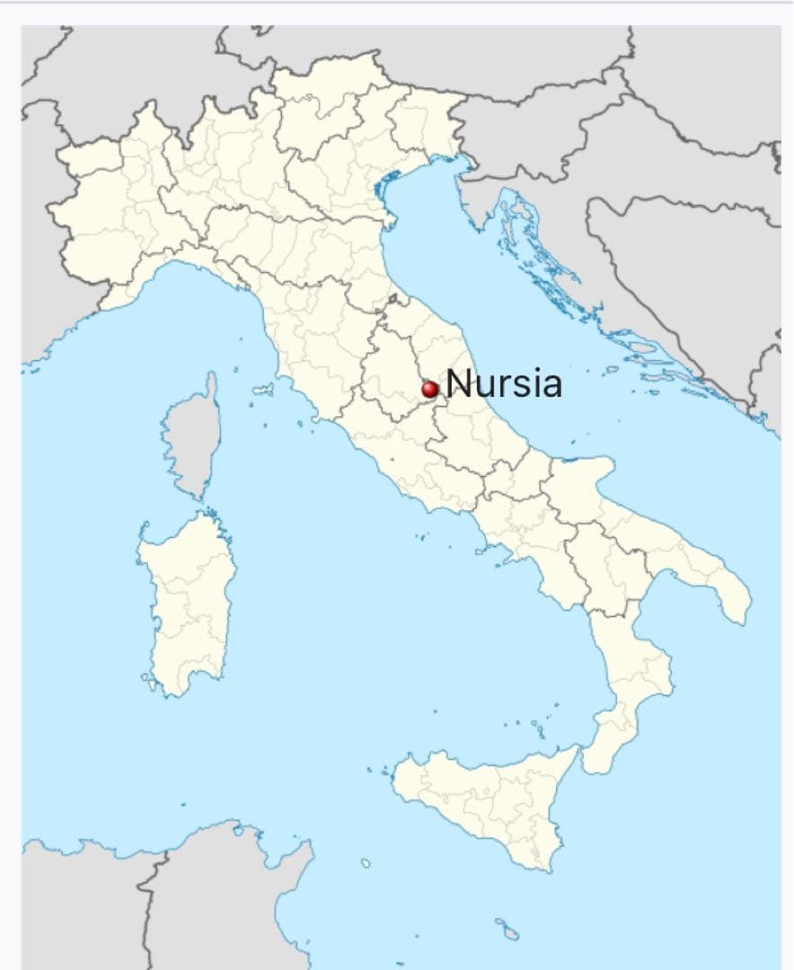 ブオンリコルド　イタリア製絵皿　2000 ノルチャ