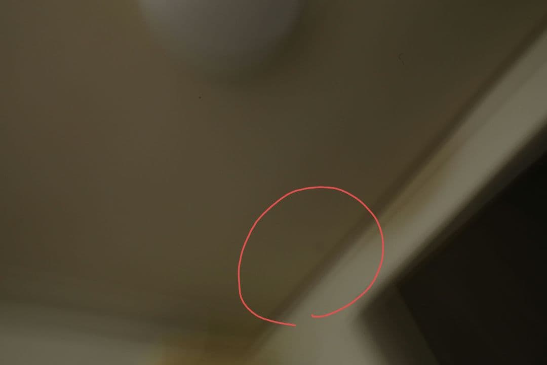 レンズ(単焦点) SIGMA 20mm f1.8 dg ex