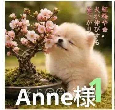 オーダーページ　ハンカチ　520梅の盆栽わんこ柄　ハンドメイド2/18