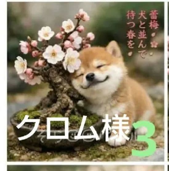 オーダーページ　ハンカチ　520梅の盆栽わんこ柄　ハンドメイド2/18