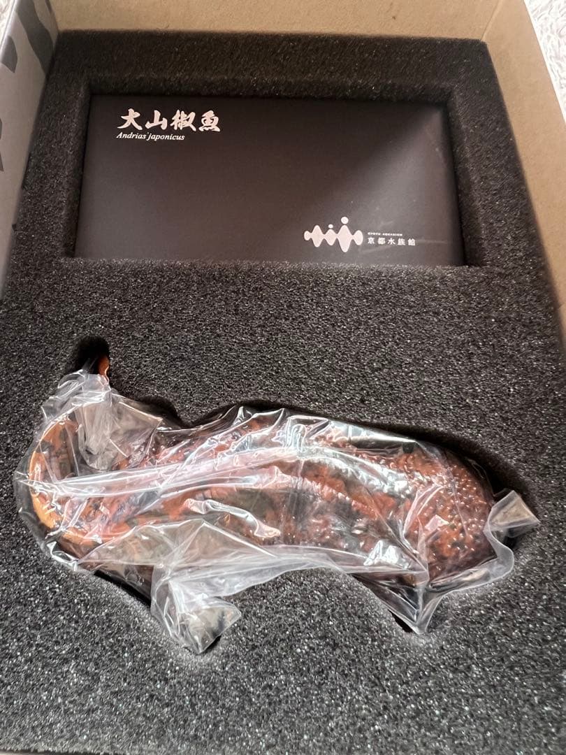 早い者勝ち　新品未使用　京都水族館限定フィギュア　オオサンショウウオ　大山椒魚