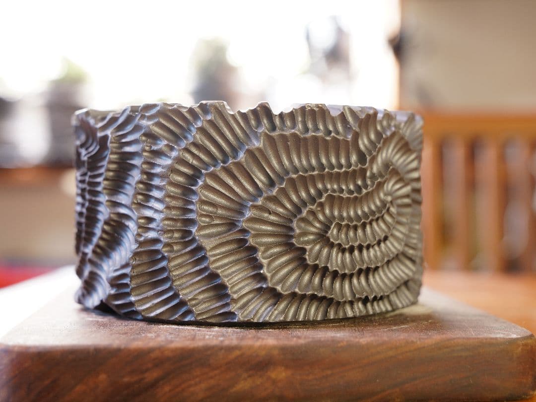 手作植木鉢 ハンドメイド 陶器鉢 塊根植物 アガべ Lサイズ A-716