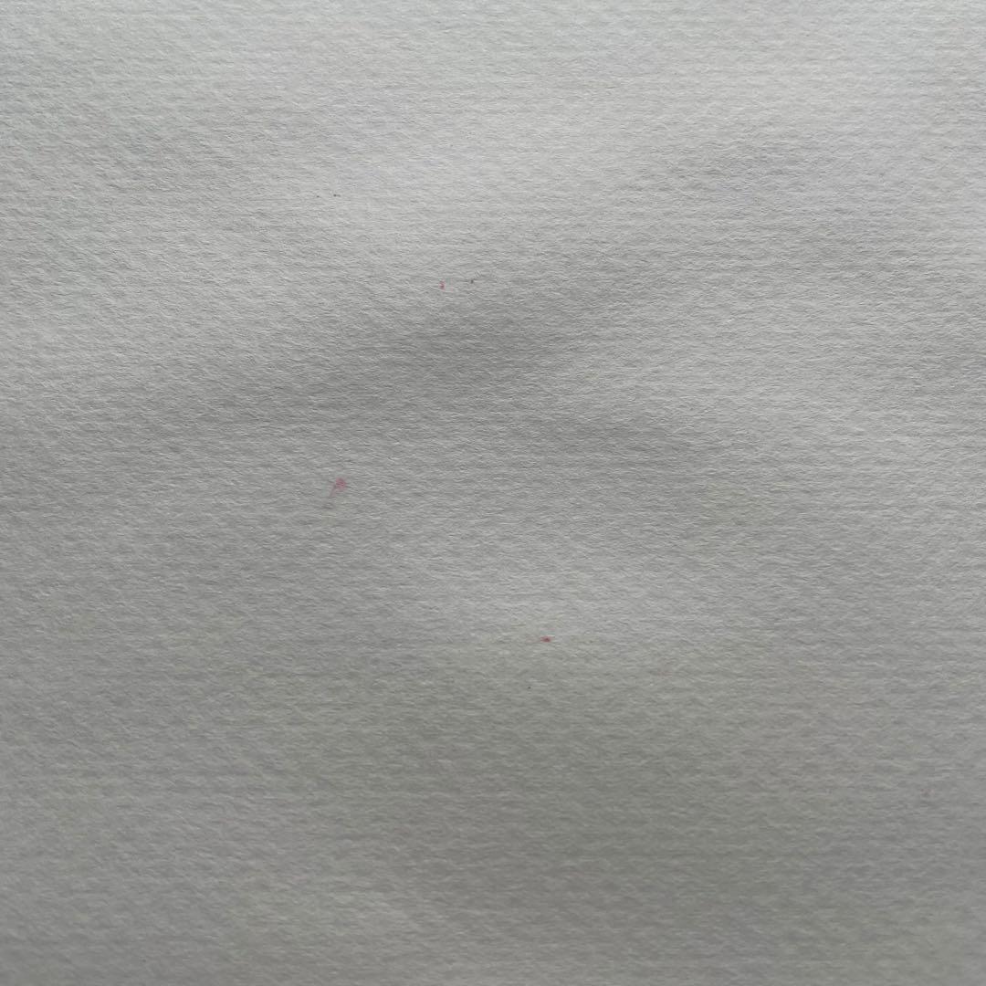 【20年の沈黙・再生の譜】No.31 ダヴィンチとの対話　パステル画　原画