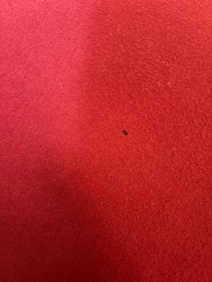 Yogibo max Yogibo Roll Max ヨギボーマックス　セット