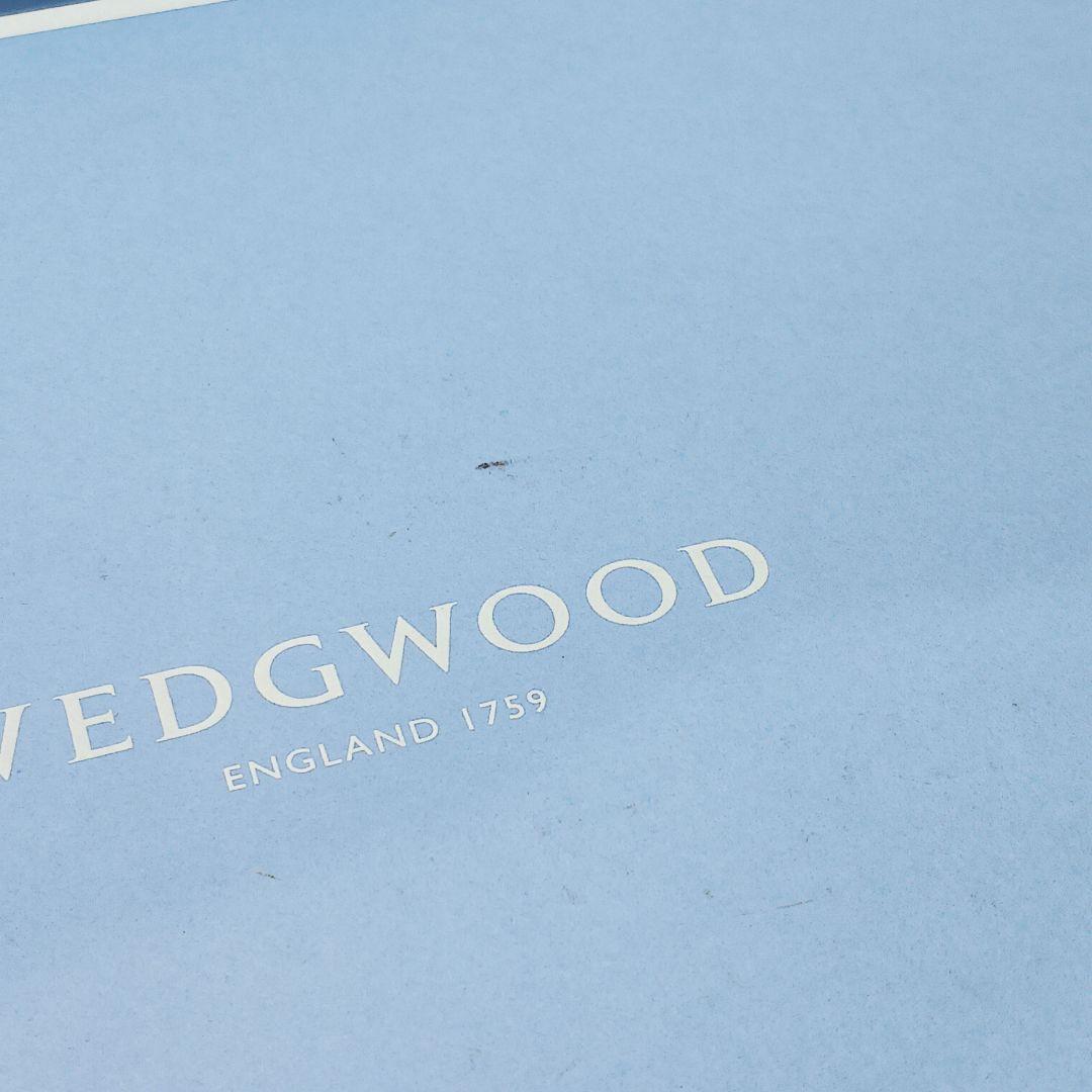 Y3332-22 ウェッジウッド ワイルドストロベリー オーバル 皿 2枚セット