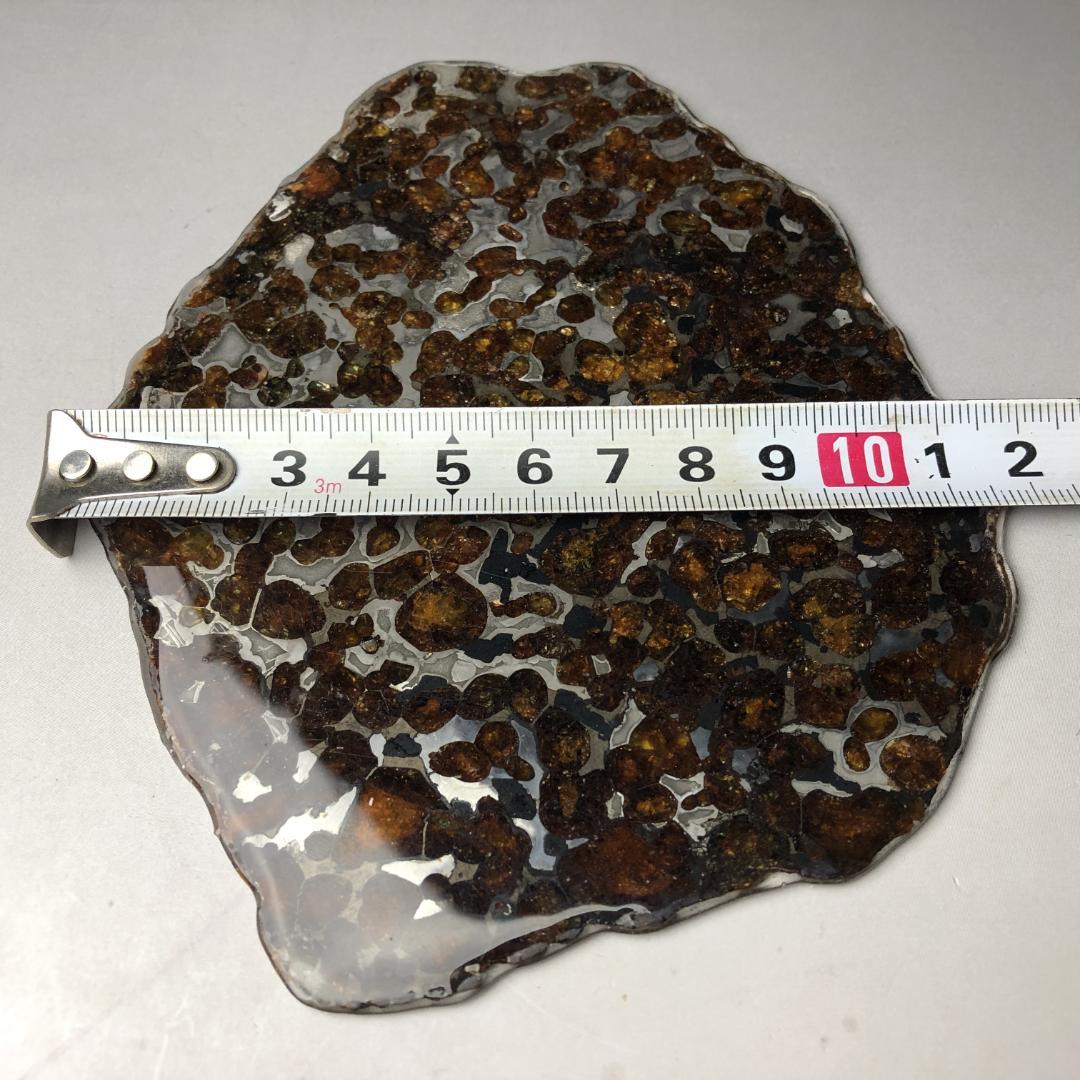 パラサイト隕石 　大型　セリコ隕石　石鉄隕石　スライス標本・不思議な宇宙パワー