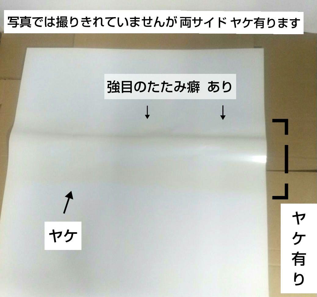B2ポスター バイオハザード5 オルタナティブ エディショ 非売品 PS3 販促
