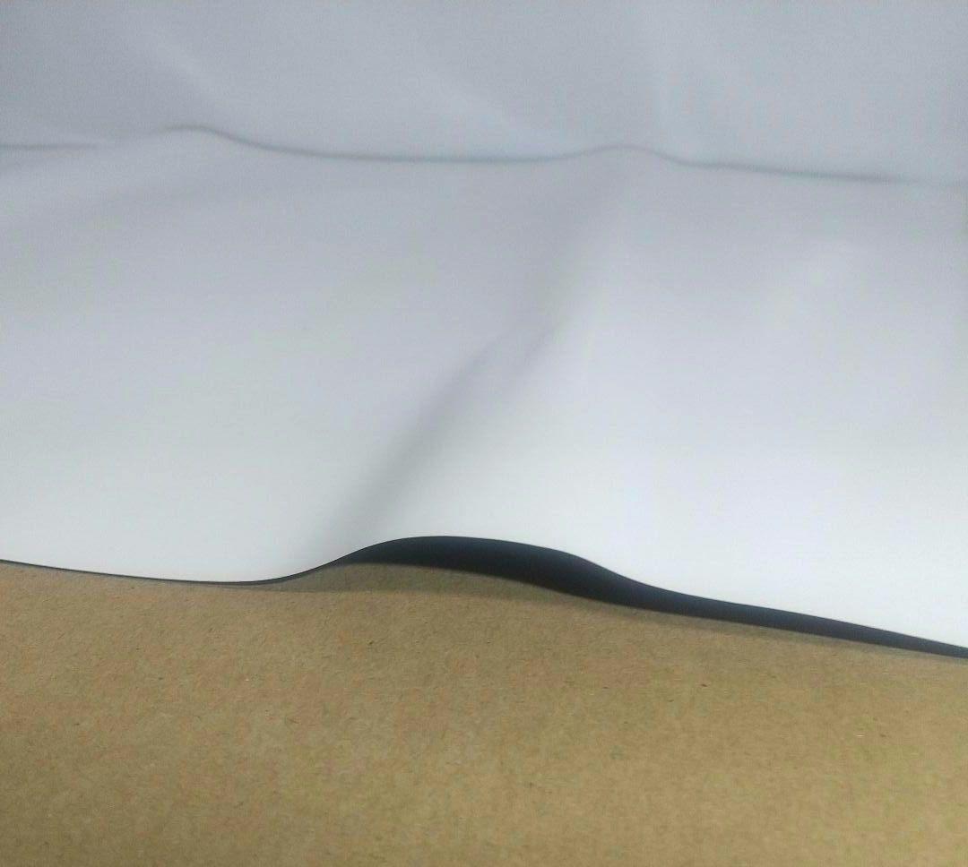 B2ポスター バイオハザード5 オルタナティブ エディショ 非売品 PS3 販促