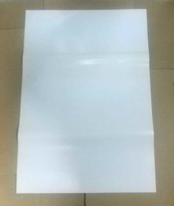 B2ポスター バイオハザード5 オルタナティブ エディショ 非売品 PS3 販促