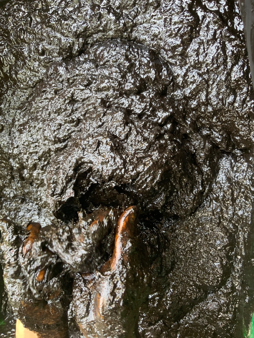 藍染　正月飾り　しめ縄　暖簾