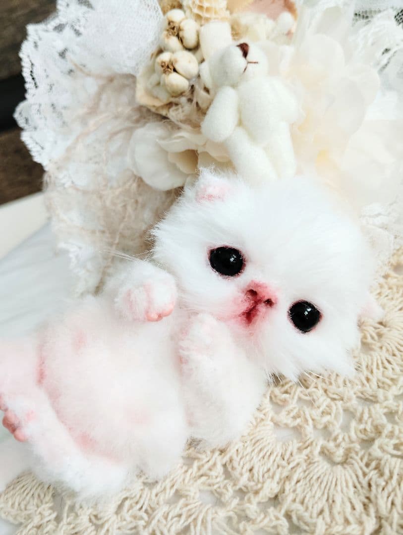 生後１０日♡子猫のポンちゃん♡クマたんとクッション♡アートドール♡ぬいぐるみ♡