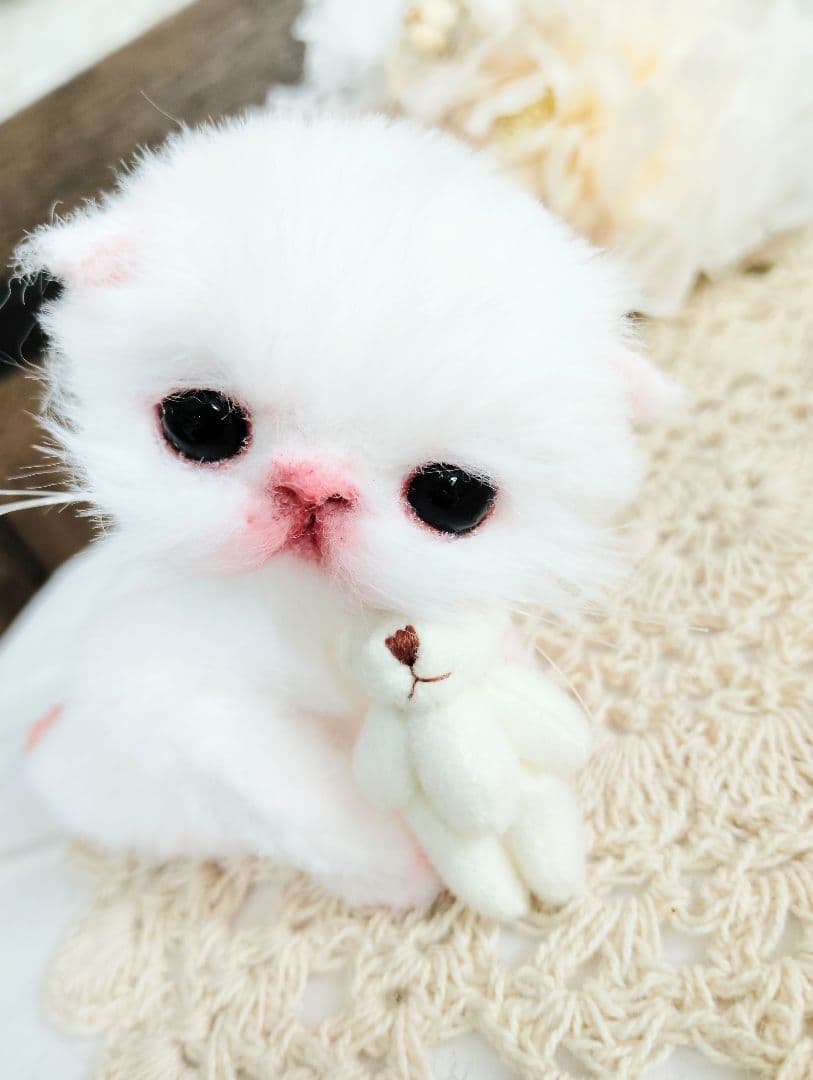 生後１０日♡子猫のポンちゃん♡クマたんとクッション♡アートドール♡ぬいぐるみ♡