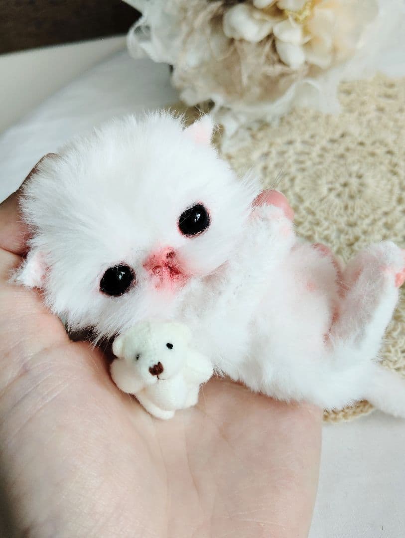 生後１０日♡子猫のポンちゃん♡クマたんとクッション♡アートドール♡ぬいぐるみ♡