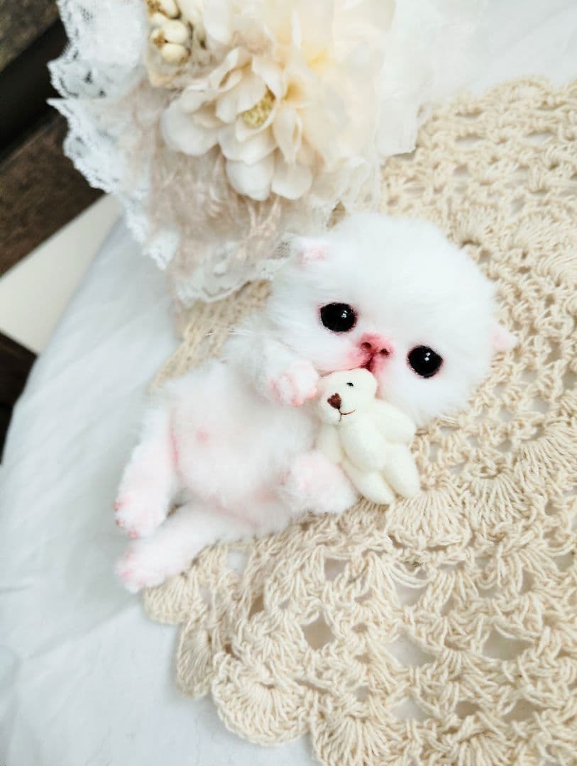 生後１０日♡子猫のポンちゃん♡クマたんとクッション♡アートドール♡ぬいぐるみ♡