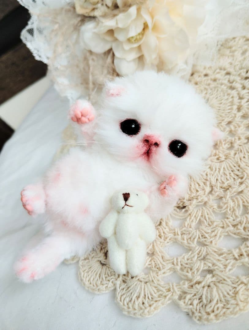 生後１０日♡子猫のポンちゃん♡クマたんとクッション♡アートドール♡ぬいぐるみ♡