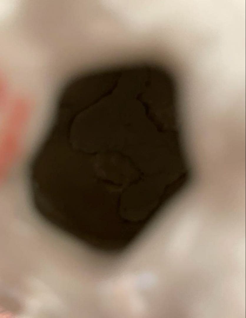 ★最終セール★capi オクトパスベイビーフラワーベース　ミドル