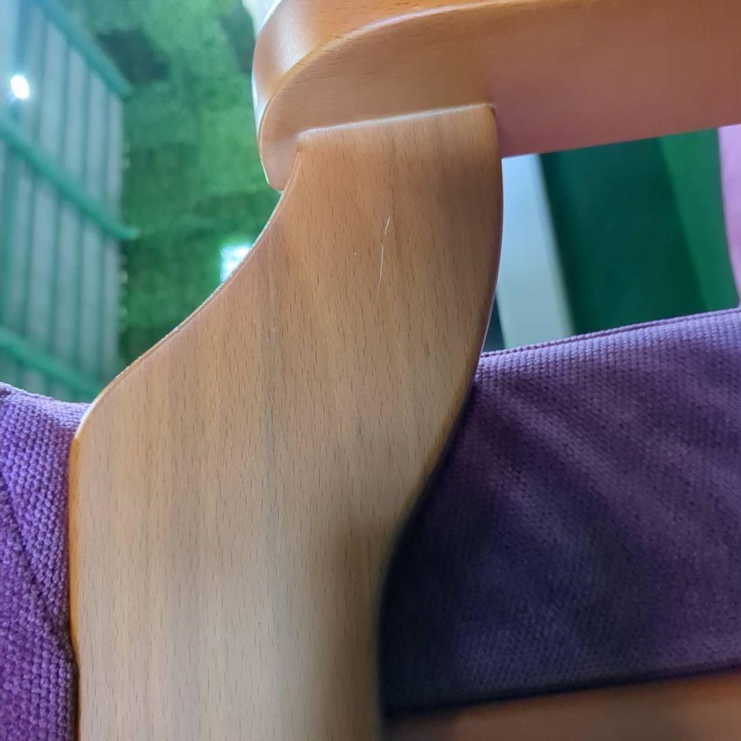 FRANCEBED 円背サポートチェア リハテック 家具 B040