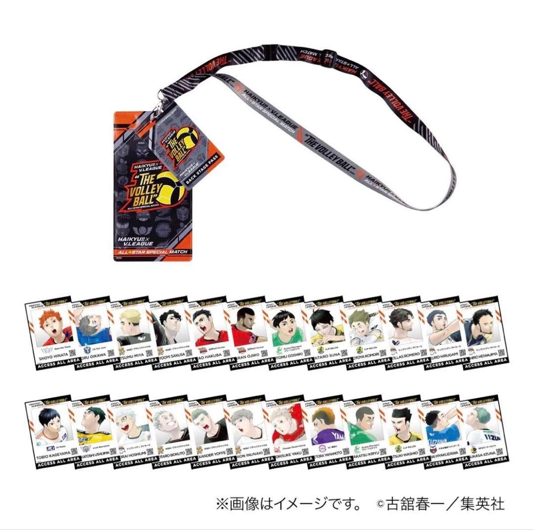 【美品】ハイキュー IDイメージカード カードホルダー Vリーグ コラボ