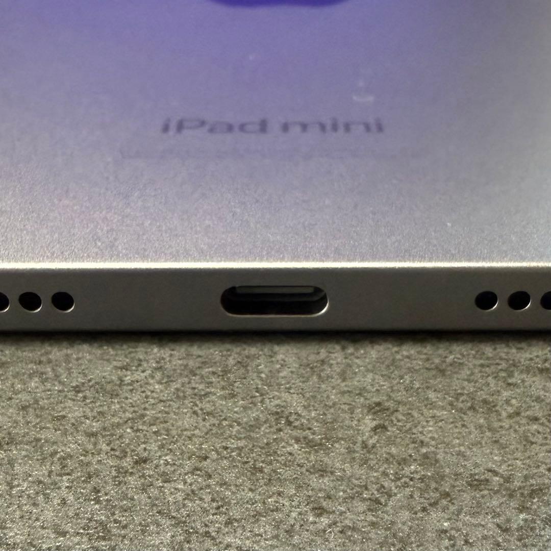 iPad mini A17 Pro 第7世代 バッテリー100%