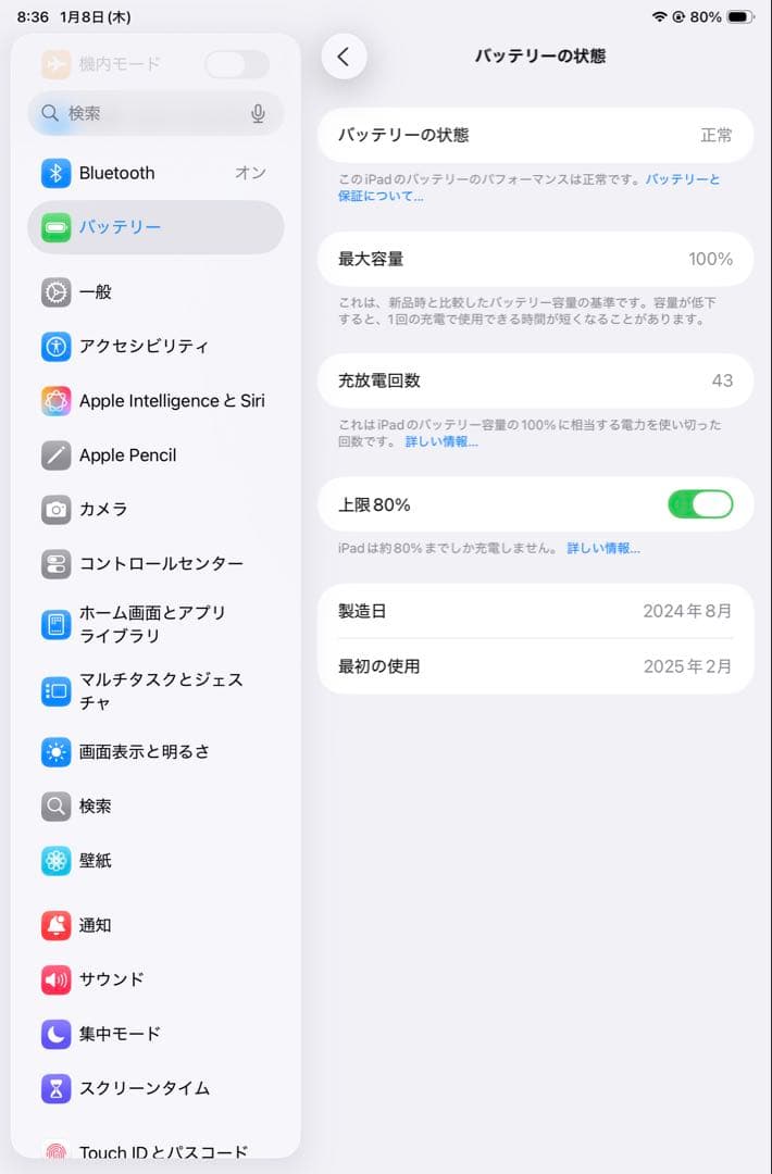 iPad mini A17 Pro 第7世代 バッテリー100%