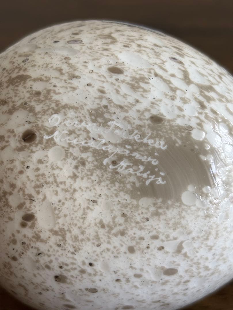 イッタラバード　ライチョウ　ヌータヤルヴィ