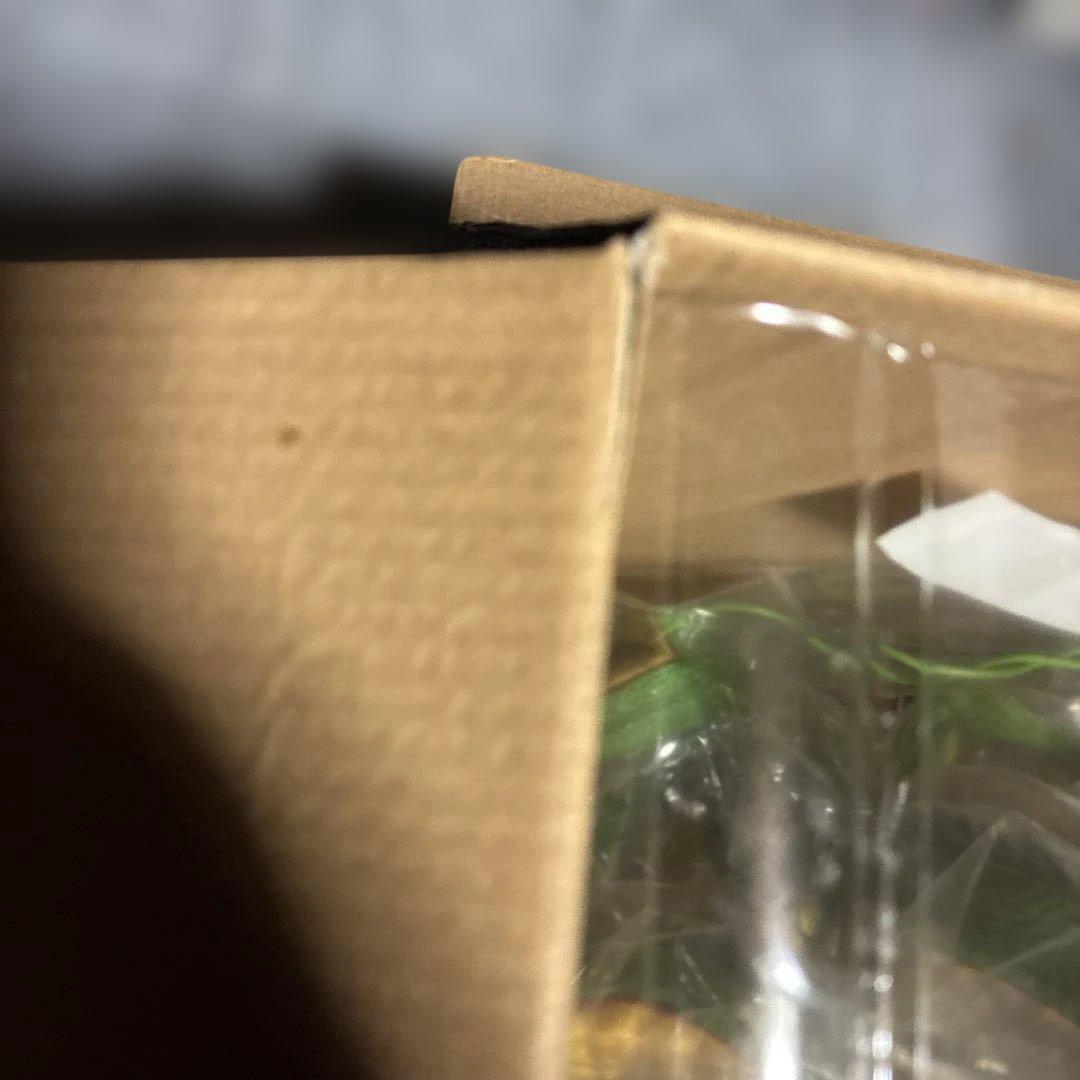 ドラゴンボール ULTIMATEVARIATION 神龍フィギュア ラストワン