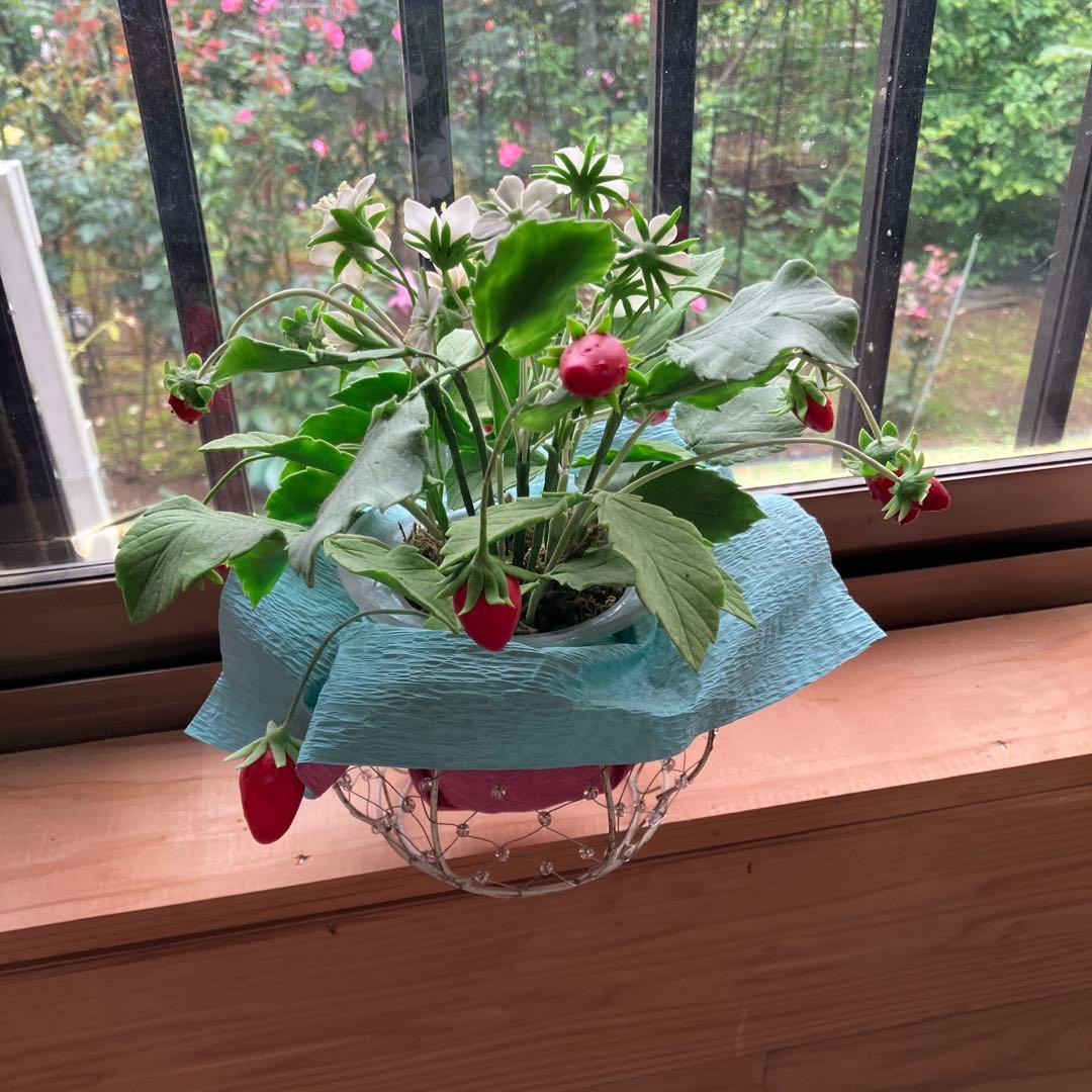 粘土細工、いちご