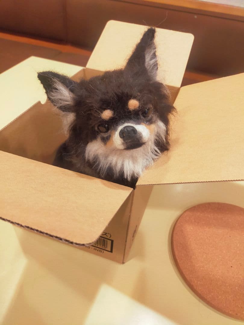 羊毛フェルト　犬　チワワ　ハンドメイド