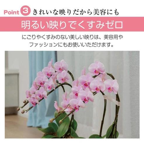 John life フィルムミラー 160×80cm キャスター付 シルバー