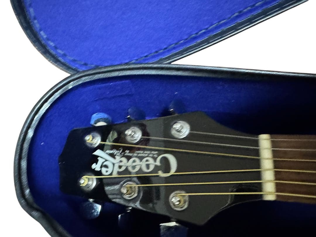 生産終了品 Cooder by Takamine エレアコ ケース付