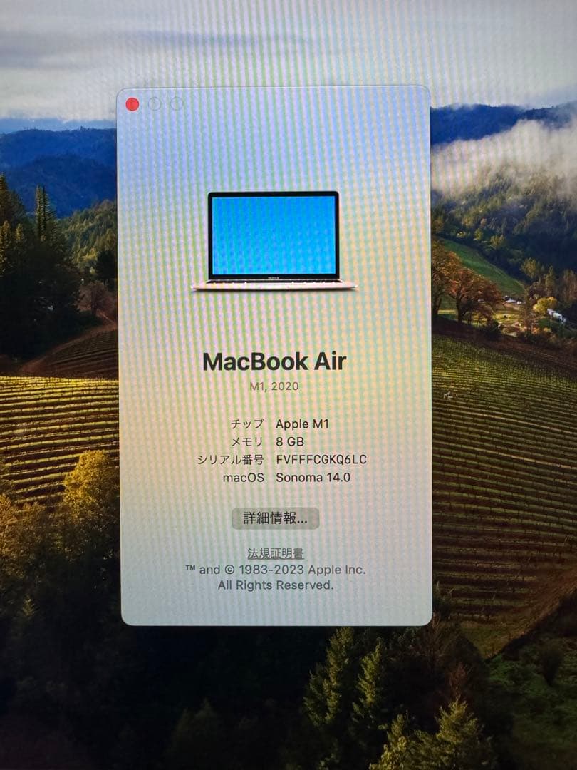Apple MacBook Air M1 256GB GLD本体
