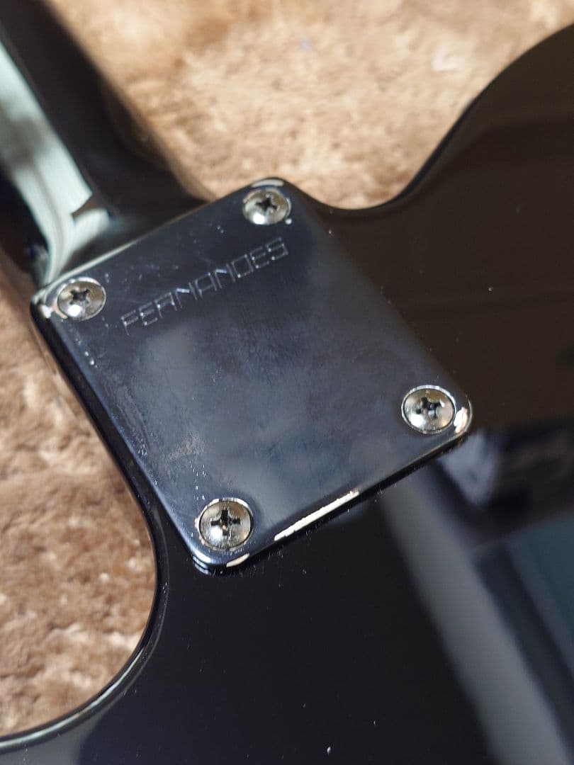 TE-95HT 白ラインのみスワロフスキー貼り 布袋モデル