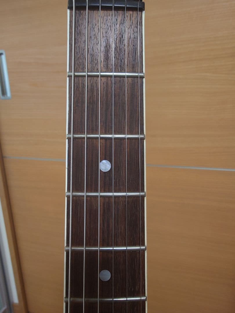 TE-95HT 白ラインのみスワロフスキー貼り 布袋モデル