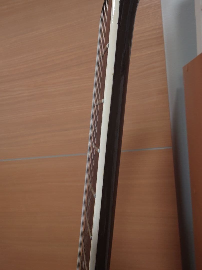 TE-95HT 白ラインのみスワロフスキー貼り 布袋モデル