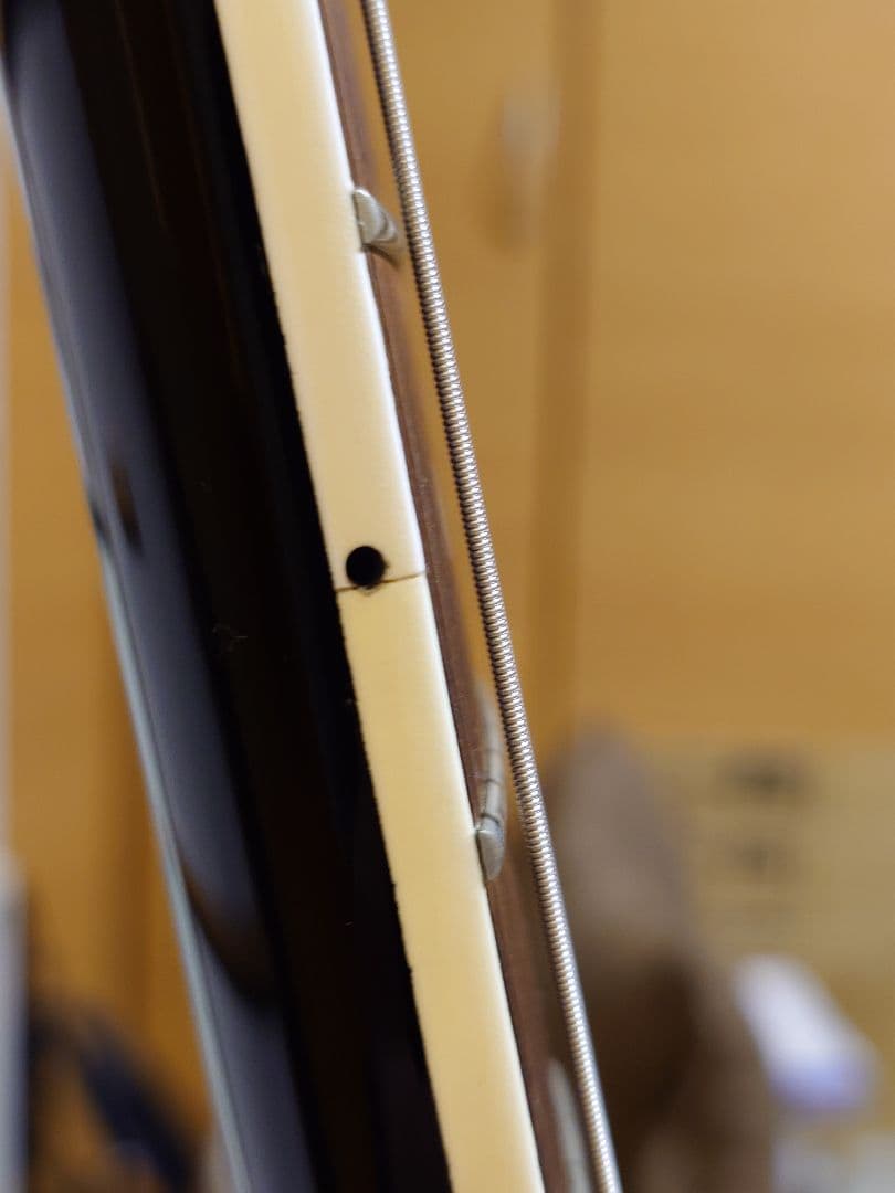 TE-95HT 白ラインのみスワロフスキー貼り 布袋モデル