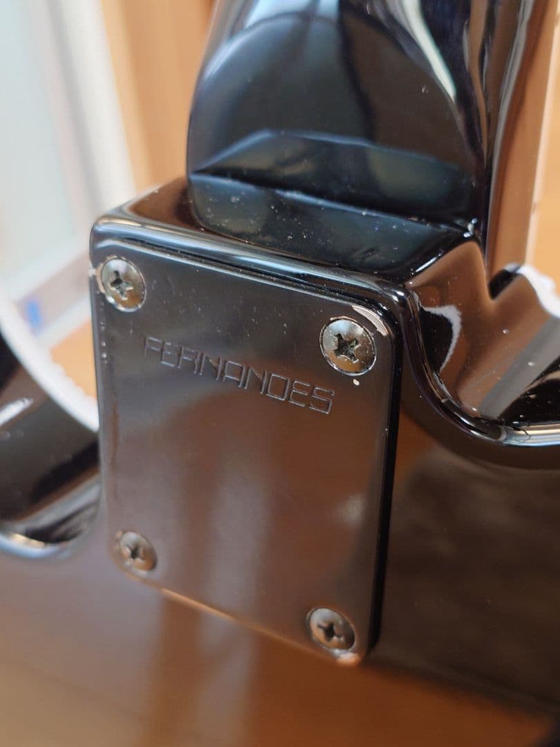 TE-95HT 白ラインのみスワロフスキー貼り 布袋モデル