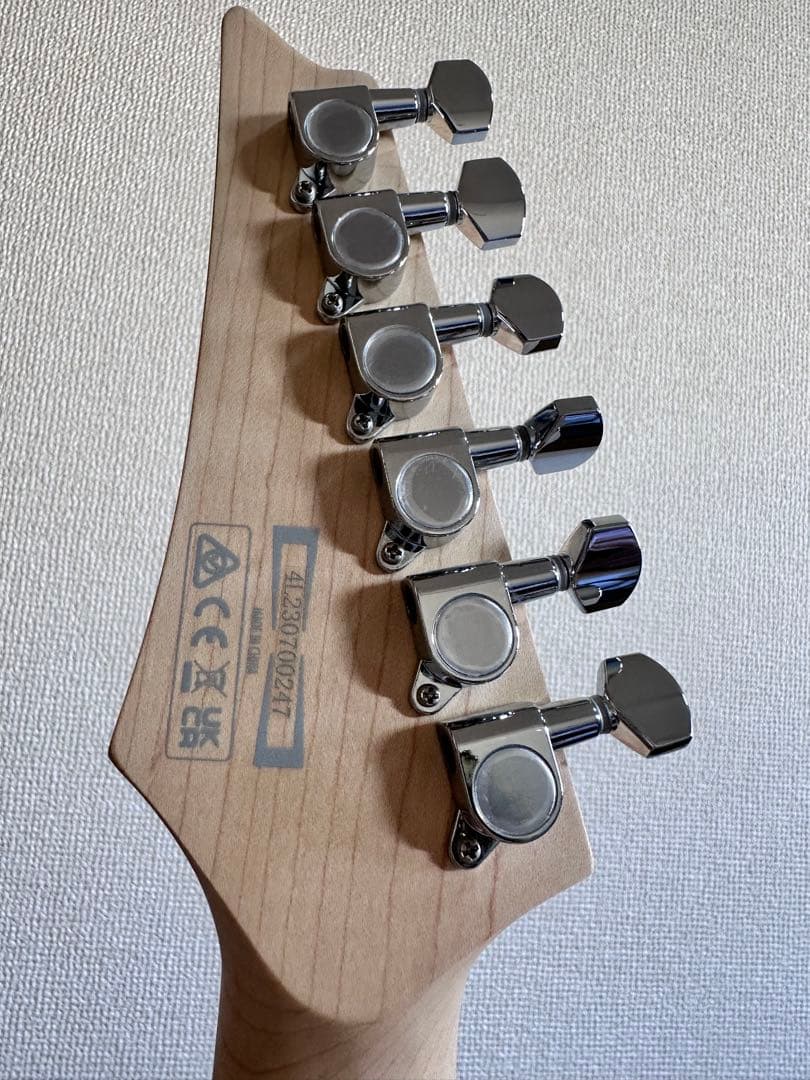 Ibanez (アイバニーズ) SA360NQM