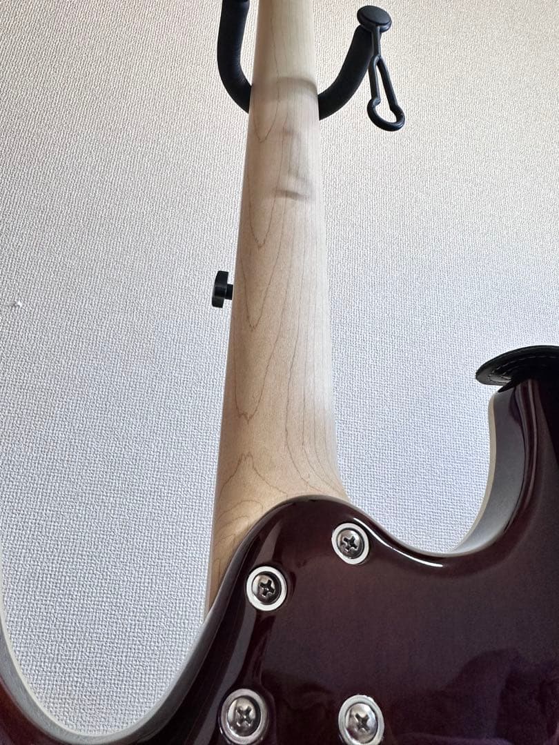 Ibanez (アイバニーズ) SA360NQM