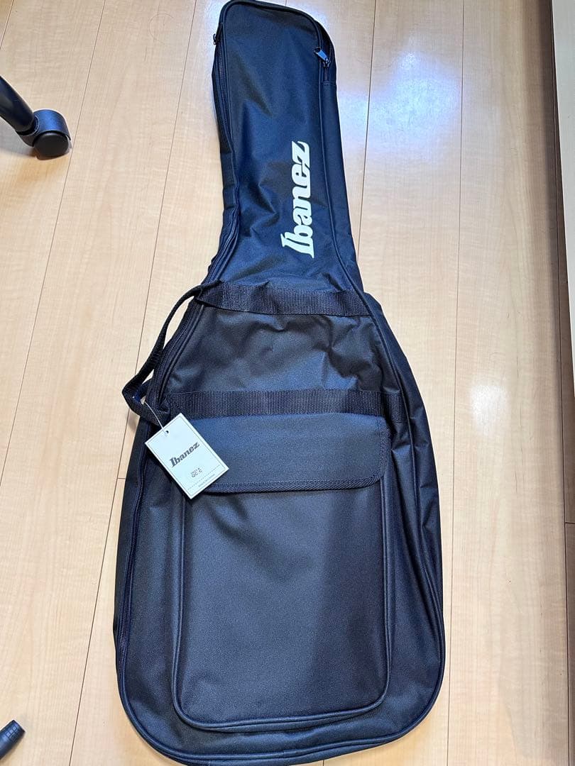 Ibanez (アイバニーズ) SA360NQM