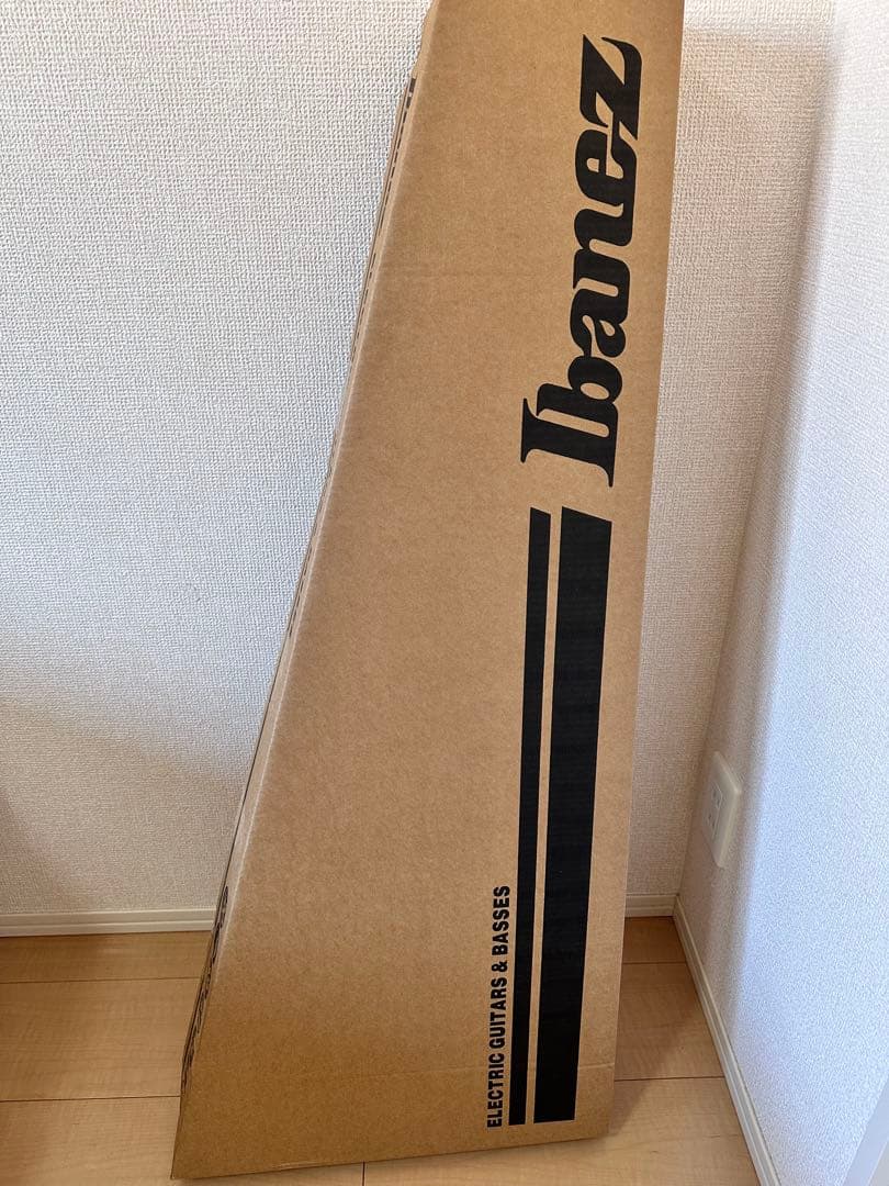 Ibanez (アイバニーズ) SA360NQM