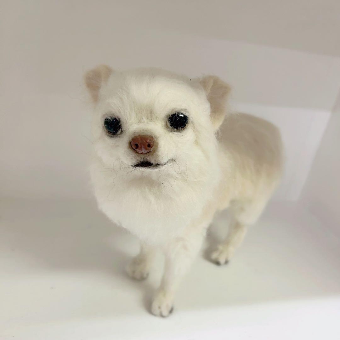 羊毛フェルト チワワ