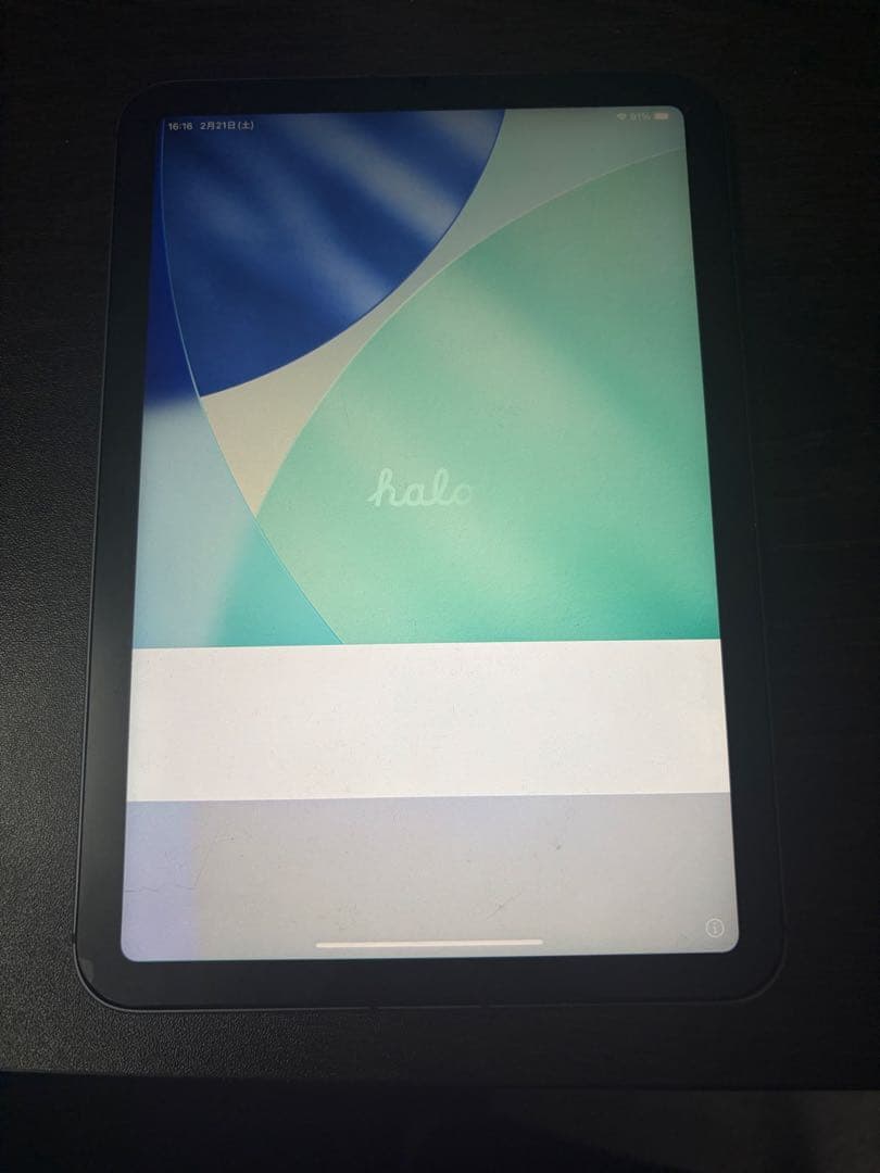 【ジャンク】iPad mini 6 Cellular 256GB スペースグレイ