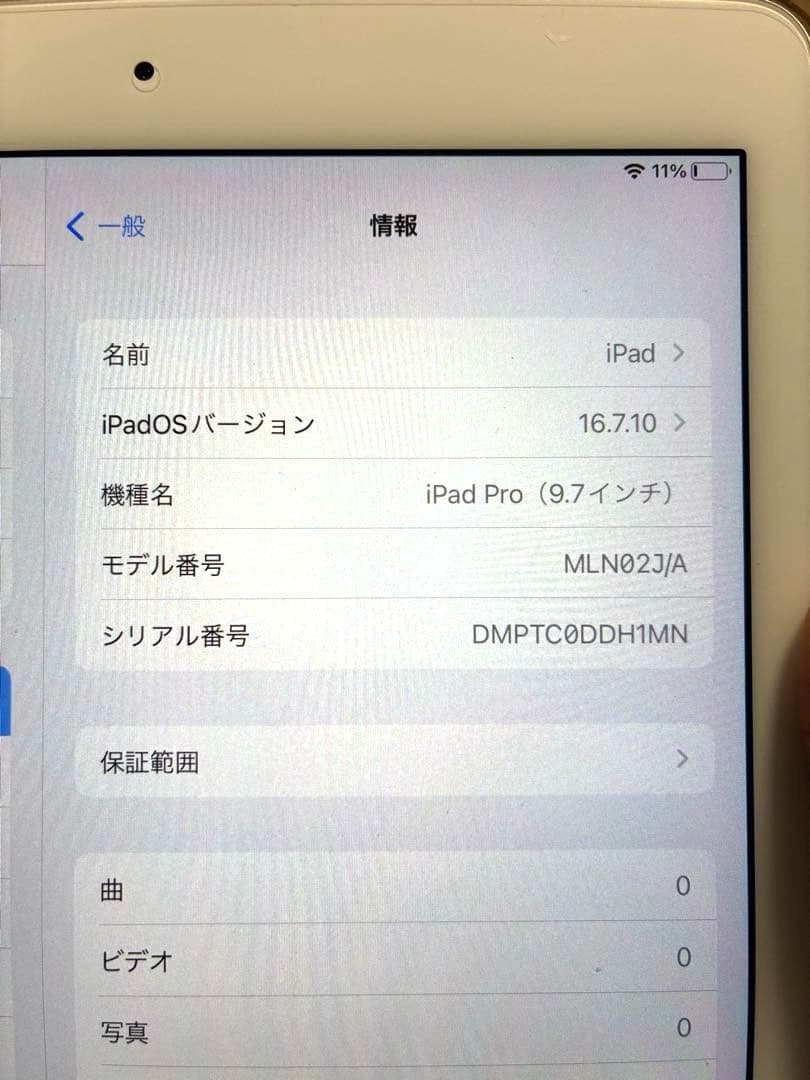 iPad Pro (9.7インチ) 256GB