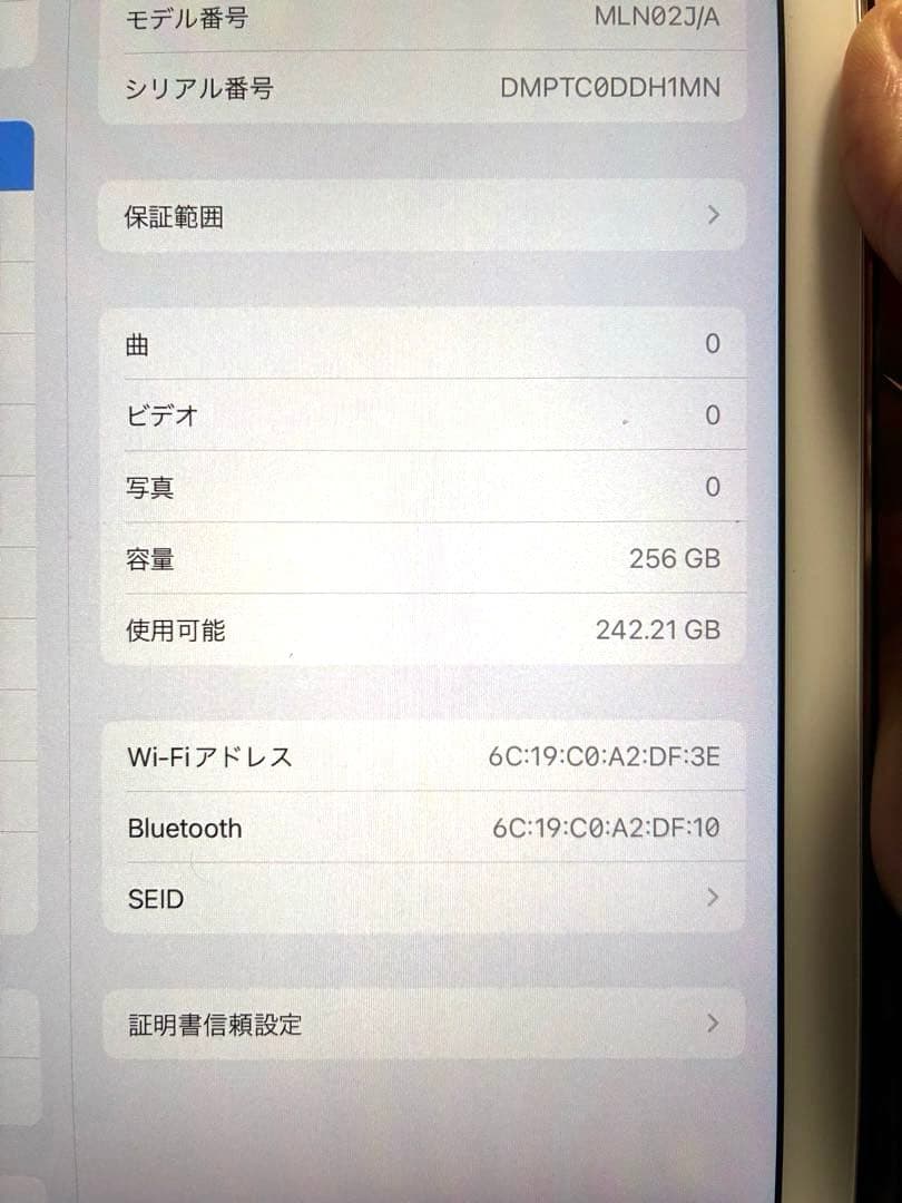 iPad Pro (9.7インチ) 256GB