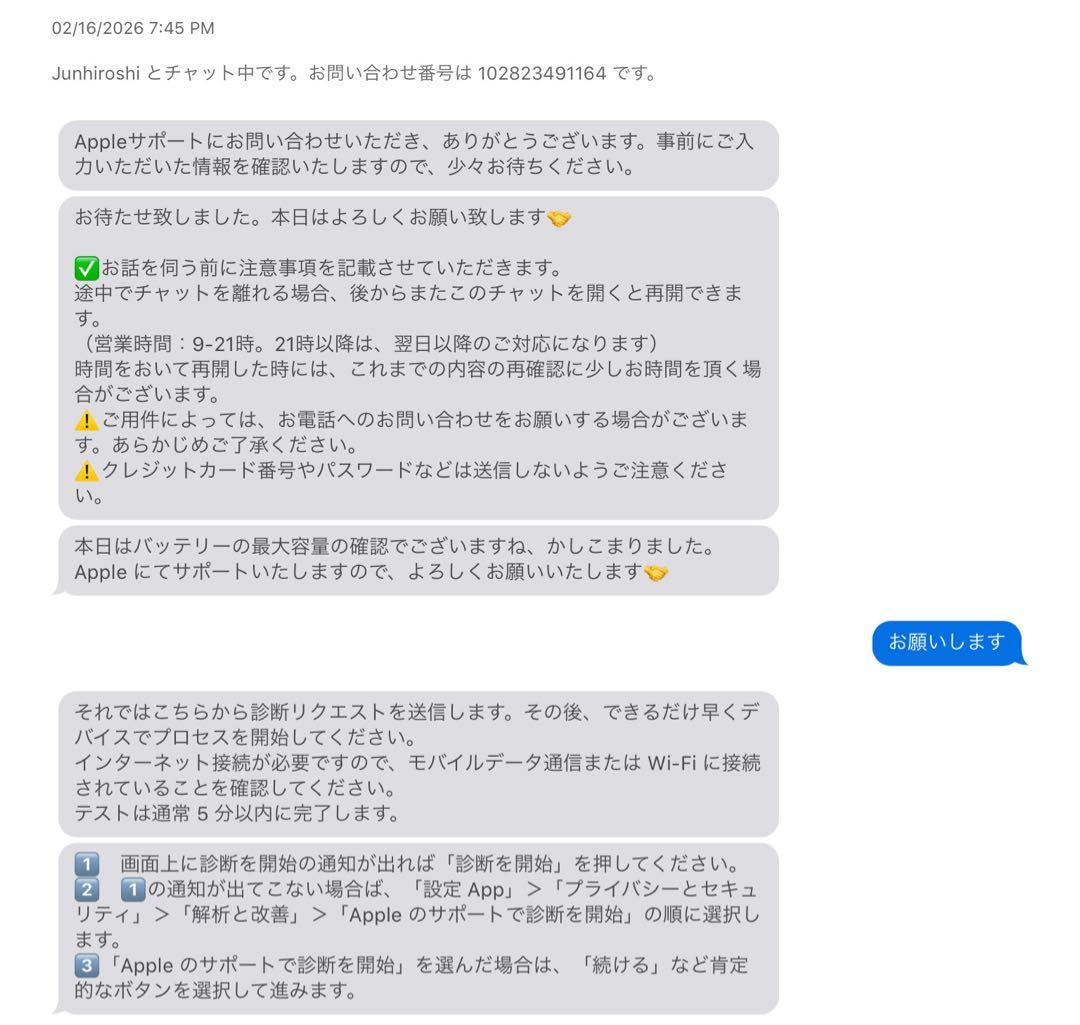 iPad Pro (9.7インチ) 256GB