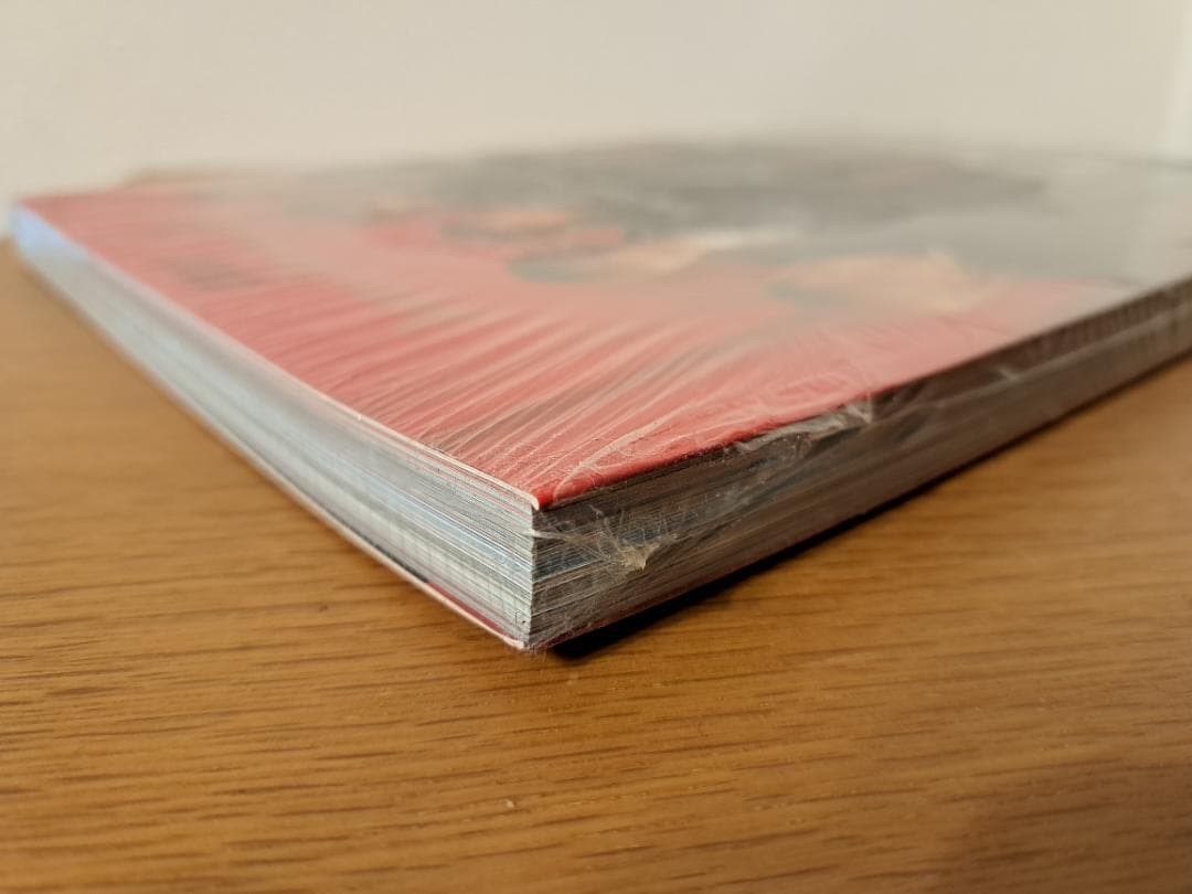 Janne Da Arc FiLE 写真集 雑誌
