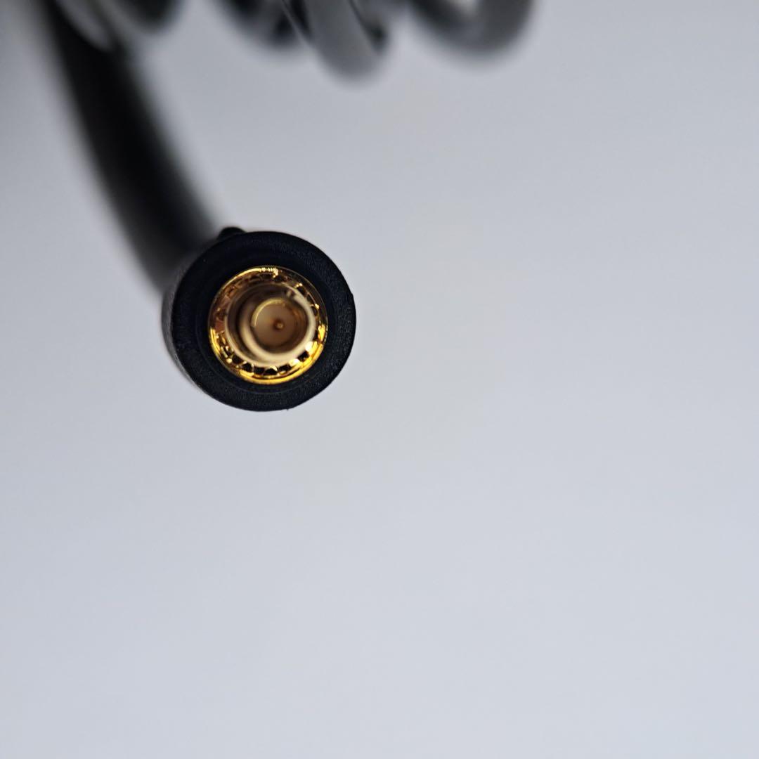 Sennheiser IE 900 有線イヤホン オマケあり 値下げ不可