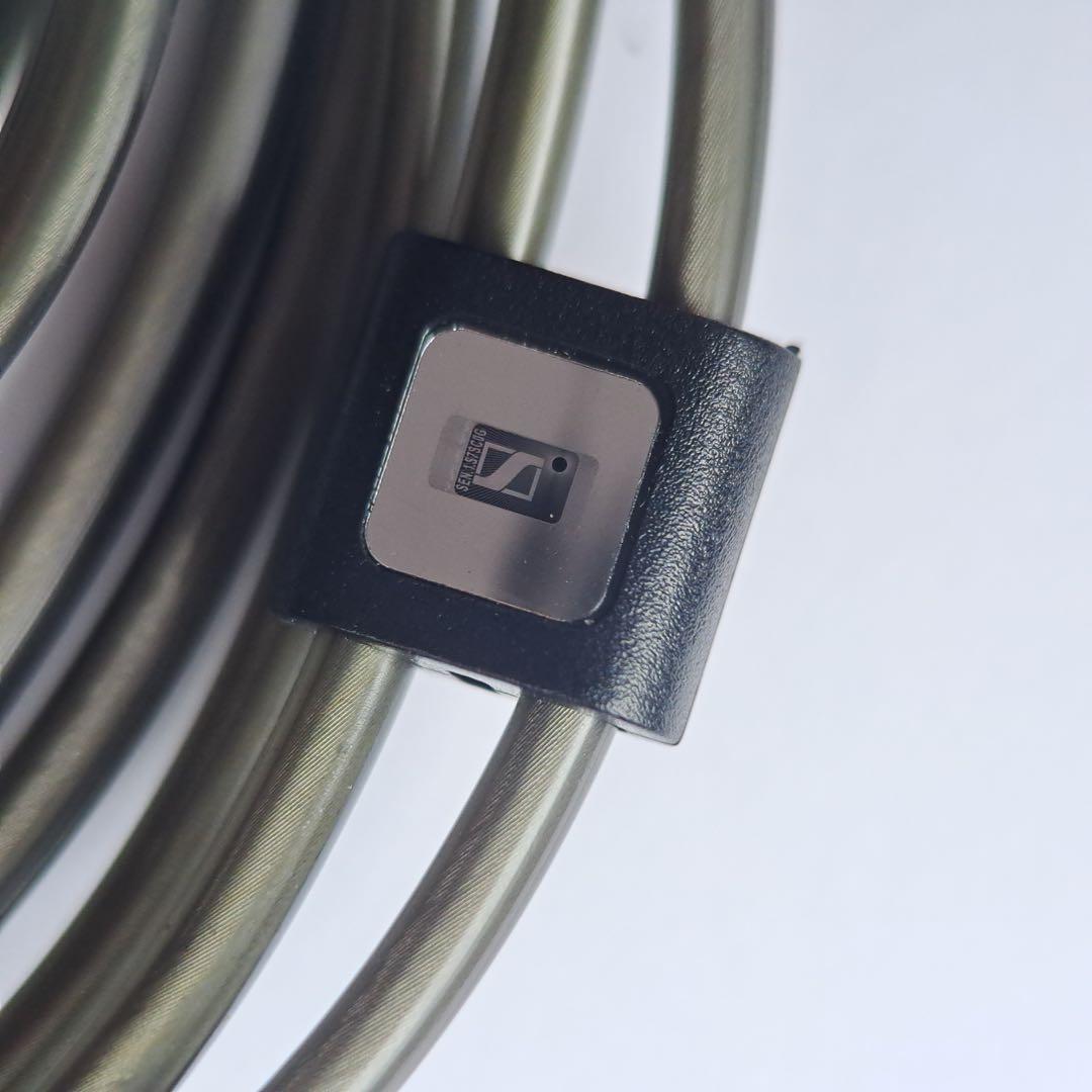 Sennheiser IE 900 有線イヤホン オマケあり 値下げ不可