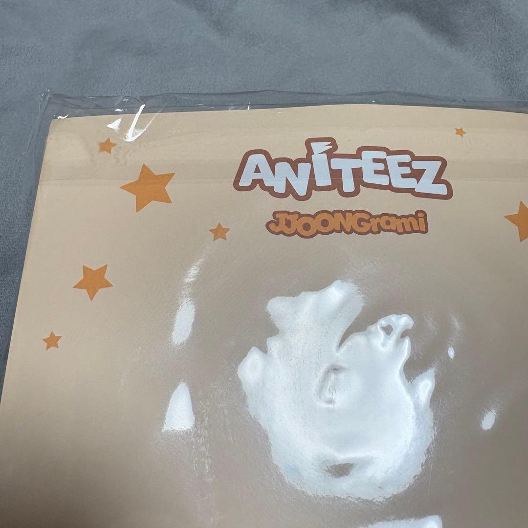 ATEEZ ホンジュン　未開封 ANITEEZ PVC JOOONGrami